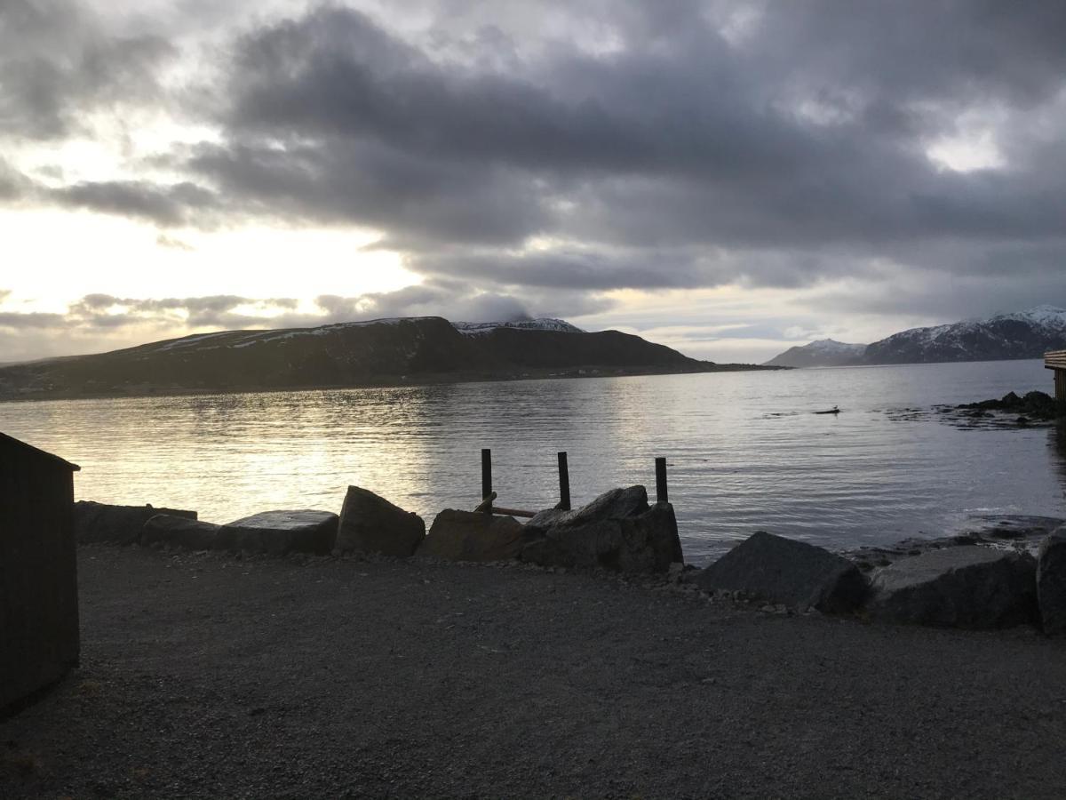 Lofoten Havfiske Leknes Zewnętrze zdjęcie