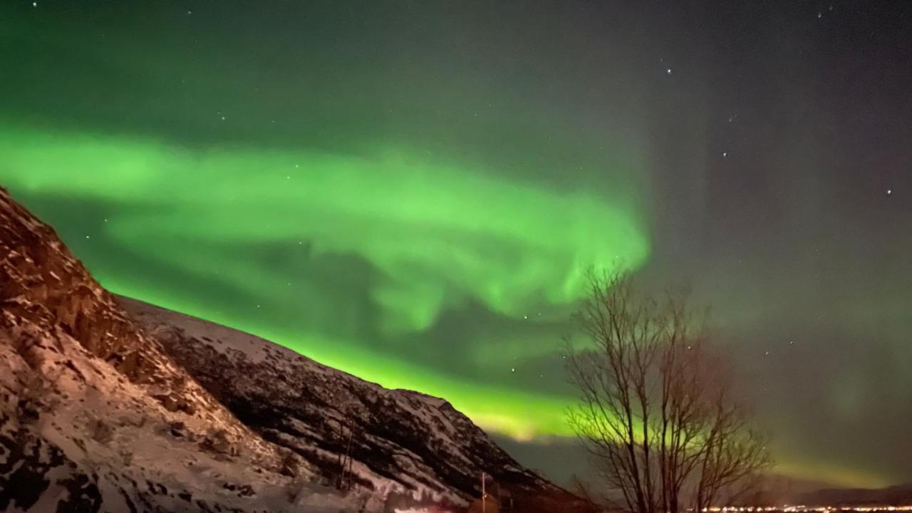 Lofoten Havfiske Leknes Zewnętrze zdjęcie