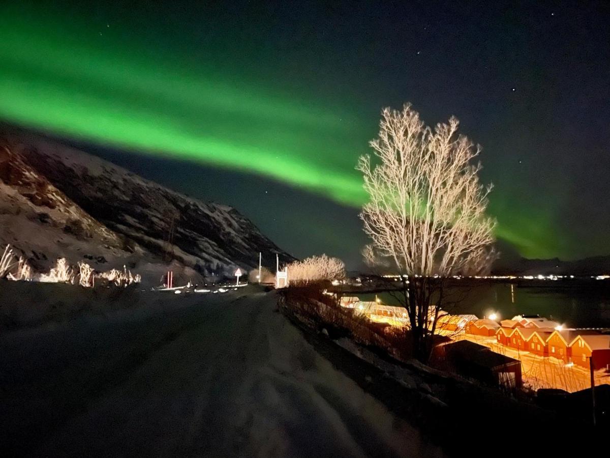 Lofoten Havfiske Leknes Zewnętrze zdjęcie