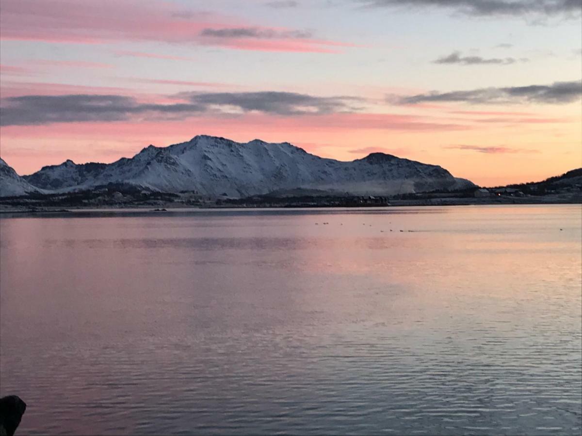 Lofoten Havfiske Leknes Zewnętrze zdjęcie